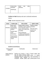 Prakses atskaite 'Aprūpes plāns hematoloģijā', 31.