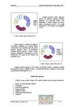 Referāts 'Grieķijas ekonomika un nodokļi', 8.