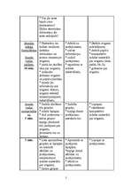 Konspekts 'Konspekts divām darbmācības stundām', 2.