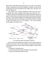 Diplomdarbs 'Dzelzceļa kravu pārvadājumu attīstība Latvijas tirgū un SIA "Viateka" saimniecis', 35.