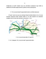 Diplomdarbs 'Dzelzceļa kravu pārvadājumu attīstība Latvijas tirgū un SIA "Viateka" saimniecis', 49.