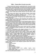 Referāts 'Latvietības saglabāšana', 16.