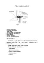 Referāts 'Alternatīvie enerģijas avoti', 4.