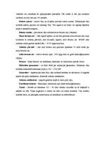 Referāts 'Alternatīvie enerģijas avoti', 5.