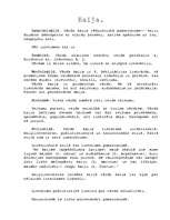 Konspekts 'Kaija', 1.