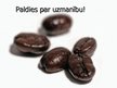 Prezentācija 'Lignosilīcija iedarbība uz kafijas koka augšanu', 10.