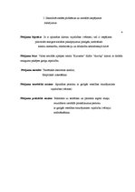 Diplomdarbs 'Personu ar garīgās veselības traucējumiem vajadzību (vēlmju) realizēšanas perspe', 4.