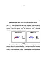 Diplomdarbs 'Personu ar garīgās veselības traucējumiem vajadzību (vēlmju) realizēšanas perspe', 29.