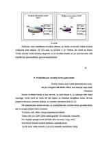 Diplomdarbs 'Personu ar garīgās veselības traucējumiem vajadzību (vēlmju) realizēšanas perspe', 44.