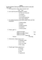 Paraugs 'Anketa veikala mārketinga analīzes veikšanai', 1.