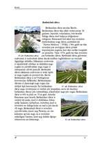 Referāts 'Bordo (Bordeaux)', 21.