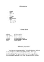 Referāts 'Pasaules ūdeņi un dabas ietekme uz tiem', 4.