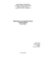 Referāts 'Alternatīvie enerģijas avoti Suntažu pagastā', 1.