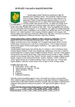 Referāts 'Alternatīvie enerģijas avoti Suntažu pagastā', 7.