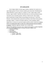 Referāts 'Alternatīvie enerģijas avoti Suntažu pagastā', 11.