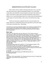 Referāts 'Alternatīvie enerģijas avoti Suntažu pagastā', 12.