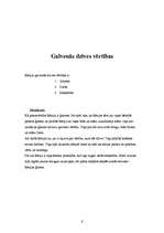 Referāts 'Aktrises Rēzijas Kalniņas biogrāfija', 6.