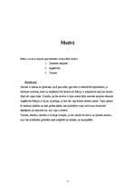 Referāts 'Aktrises Rēzijas Kalniņas biogrāfija', 7.