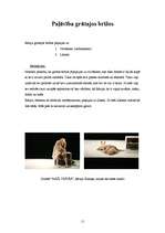 Referāts 'Aktrises Rēzijas Kalniņas biogrāfija', 11.