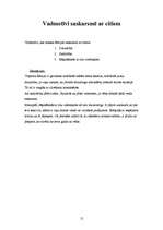 Referāts 'Aktrises Rēzijas Kalniņas biogrāfija', 12.