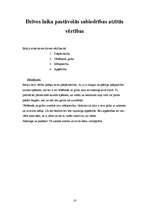 Referāts 'Aktrises Rēzijas Kalniņas biogrāfija', 16.