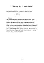 Referāts 'Aktrises Rēzijas Kalniņas biogrāfija', 21.