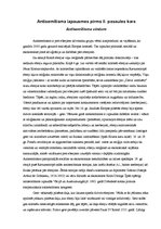 Referāts 'Antisemītisms', 3.