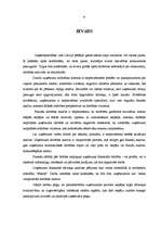 Referāts 'SIA "Jēkabs" saimnieciskās darbības analīze un izaugsmes iespējas', 6.