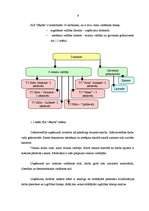 Referāts 'SIA "Jēkabs" saimnieciskās darbības analīze un izaugsmes iespējas', 9.