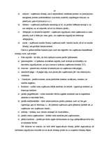 Referāts 'SIA "Jēkabs" saimnieciskās darbības analīze un izaugsmes iespējas', 29.