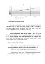 Referāts 'SIA "Jēkabs" saimnieciskās darbības analīze un izaugsmes iespējas', 53.