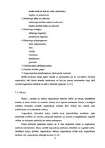 Referāts 'Firmas monitorings', 6.