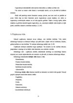 Referāts 'Firmas monitorings', 11.