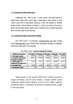 Prakses atskaite 'Prakses atskaite ', 8.