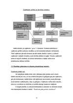 Prakses atskaite 'Prakses atskaite ', 10.