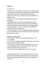 Prakses atskaite 'Prakses atskaite ', 17.