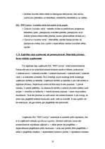 Prakses atskaite 'Prakses atskaite ', 19.