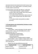 Prakses atskaite 'Prakses atskaite ', 22.