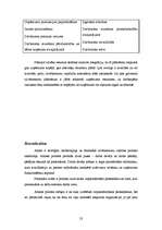 Prakses atskaite 'Prakses atskaite ', 23.