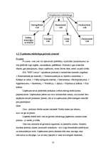 Prakses atskaite 'Prakses atskaite ', 33.