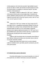 Prakses atskaite 'Prakses atskaite ', 34.