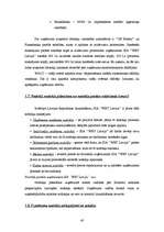 Prakses atskaite 'Prakses atskaite ', 43.