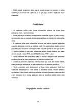 Prakses atskaite 'Prakses atskaite ', 46.