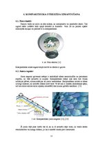 Referāts 'Materiālu atgūšanas tehnoloģija. Kompaktdiski', 13.