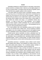 Diplomdarbs 'Apdrošināšanas uzņēmuma AAS "BTA" darbības analīze un attīstības iespējas', 5.