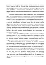 Diplomdarbs 'Apdrošināšanas uzņēmuma AAS "BTA" darbības analīze un attīstības iespējas', 6.