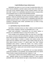 Diplomdarbs 'Apdrošināšanas uzņēmuma AAS "BTA" darbības analīze un attīstības iespējas', 8.