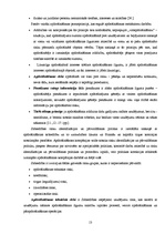 Diplomdarbs 'Apdrošināšanas uzņēmuma AAS "BTA" darbības analīze un attīstības iespējas', 13.