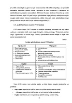 Diplomdarbs 'Apdrošināšanas uzņēmuma AAS "BTA" darbības analīze un attīstības iespējas', 23.