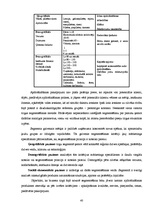 Diplomdarbs 'Apdrošināšanas uzņēmuma AAS "BTA" darbības analīze un attīstības iespējas', 40.